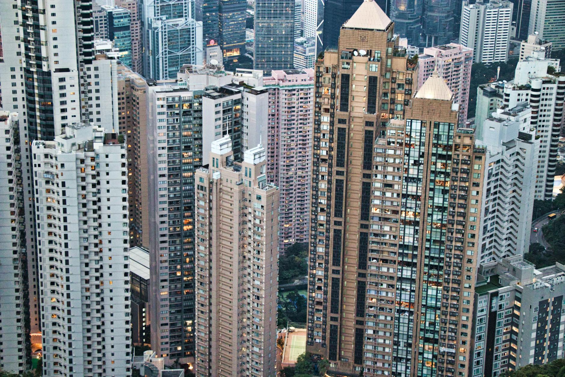 loyalty-hk 配图