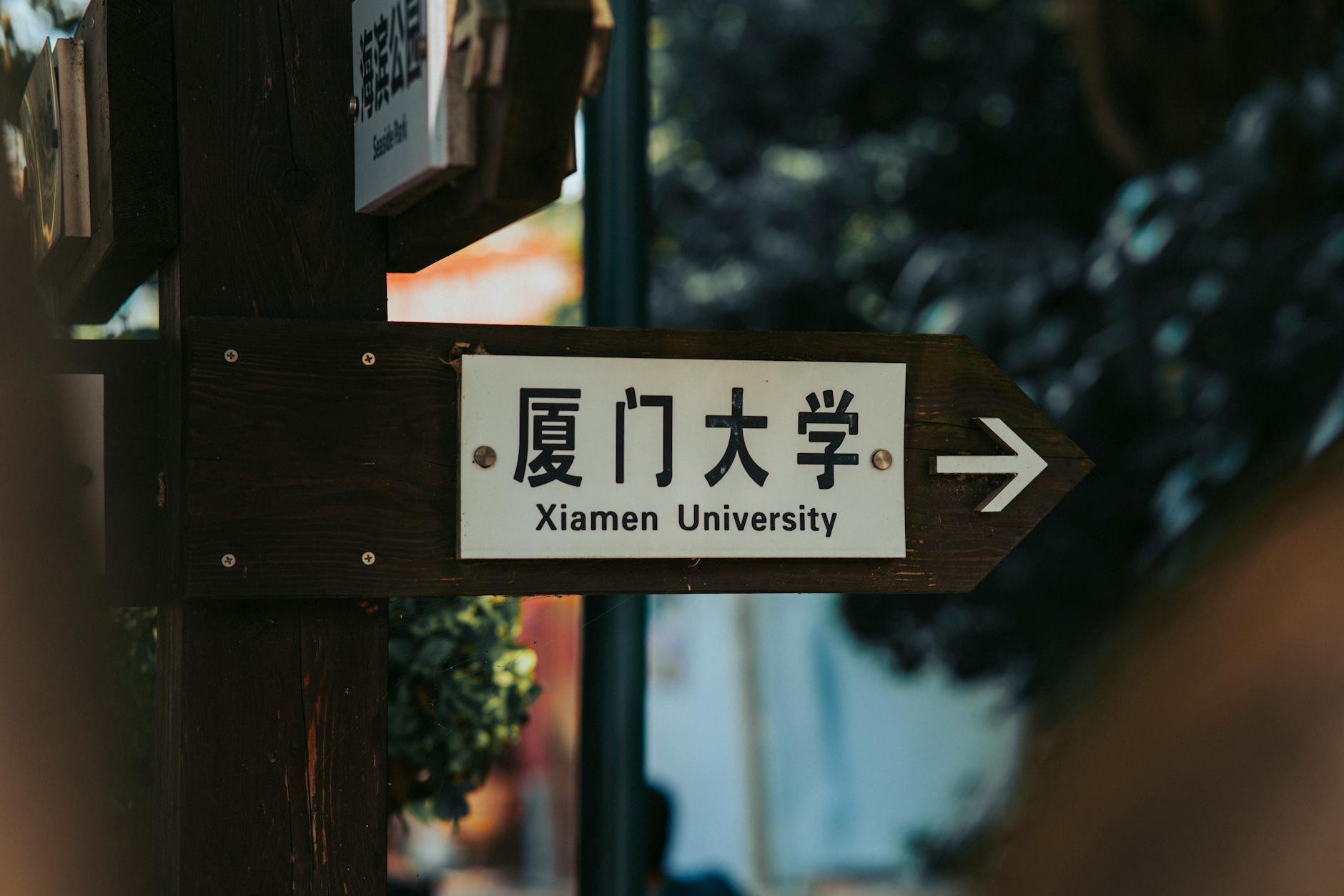 loyalty-hk 配图