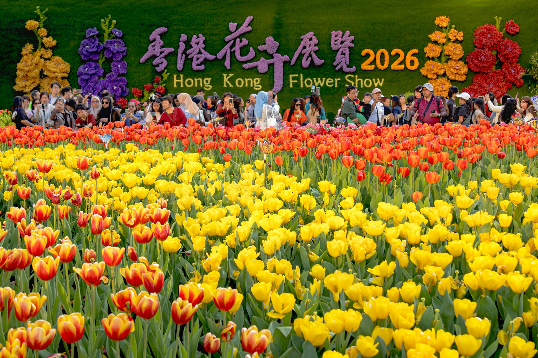 2026 香港里数攻略：Amex MR + Asia Miles + Krisflyer