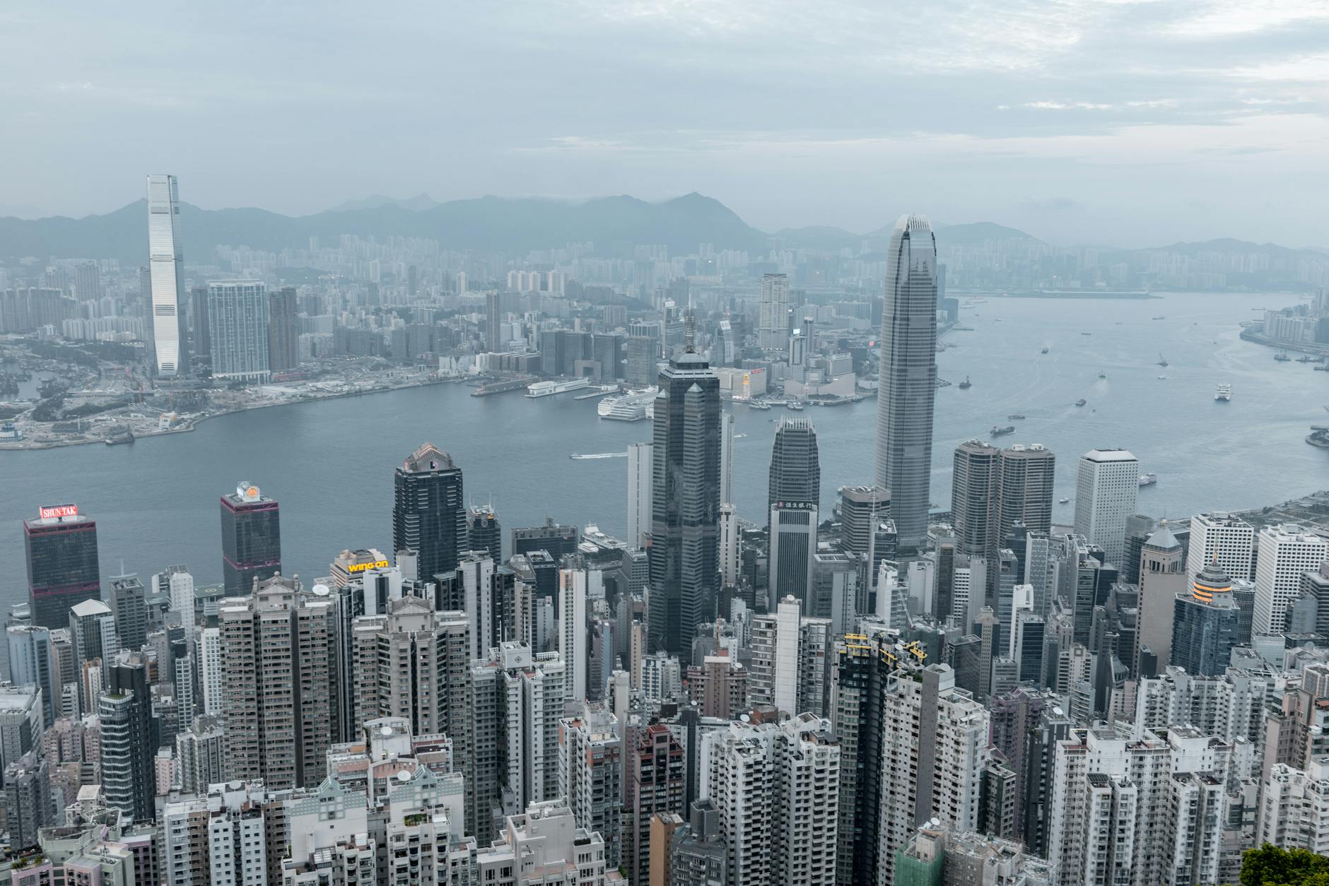 loyalty-hk 配图